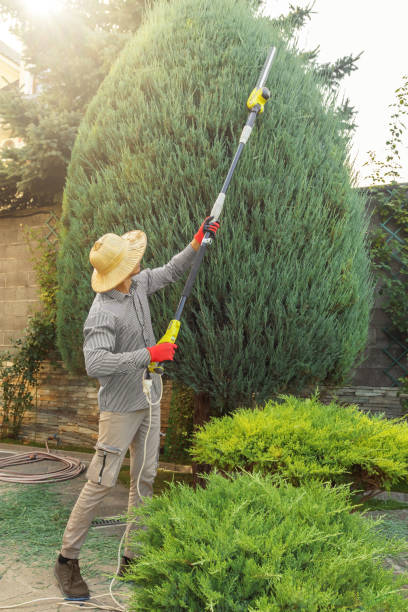Best Lawn Watering Services  in Vian, OK