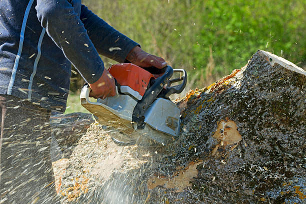 Vian, OK Tree Services Company